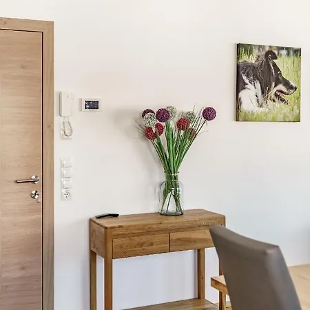 In/ski Out Jagahuett'n By Schladmingurlaub Apartmán *