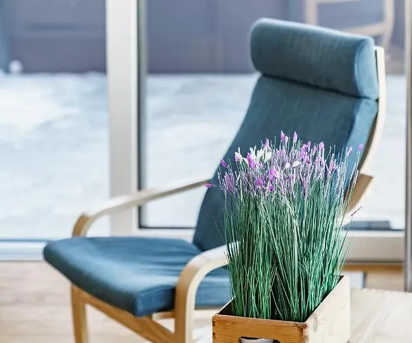 In/ski Out Jagahuett'n By Schladmingurlaub Apartment