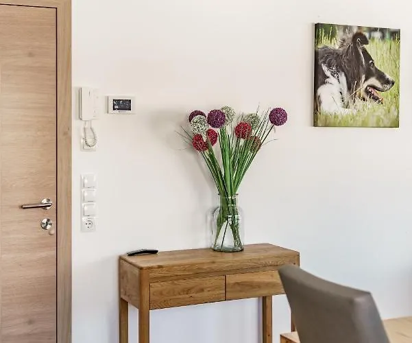 In/ski Out Jagahuett'n By Schladmingurlaub Apartment *